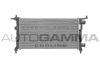 autogamma-101336