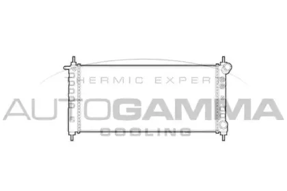 autogamma-101337