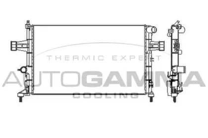 autogamma-101339