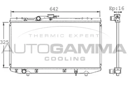 autogamma-101353