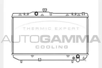 autogamma-101356