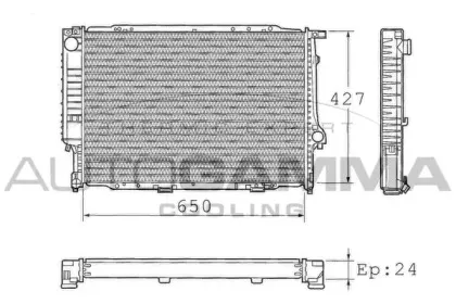 autogamma-101367