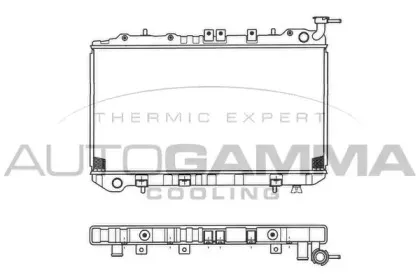 autogamma-101388