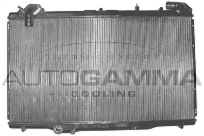 autogamma-101408