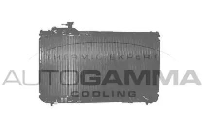 autogamma-101438