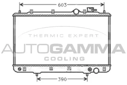 autogamma-101441
