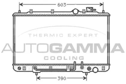 autogamma-101442