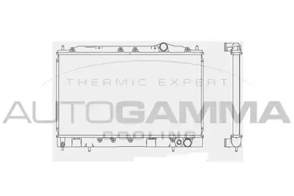 autogamma-101453