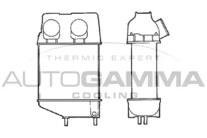 autogamma-101475