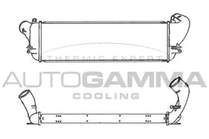 autogamma-101480