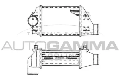 autogamma-101481