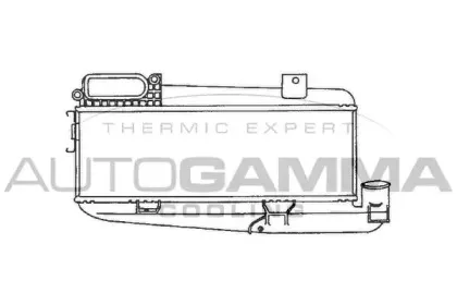autogamma-101484