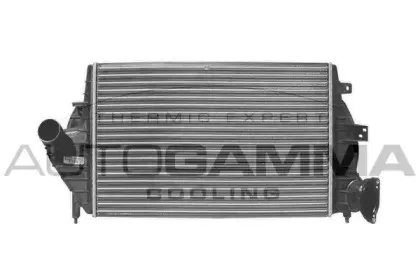 autogamma-101488