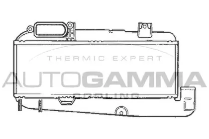 autogamma-101489