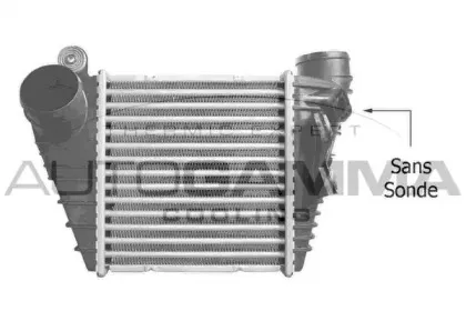 autogamma-101498