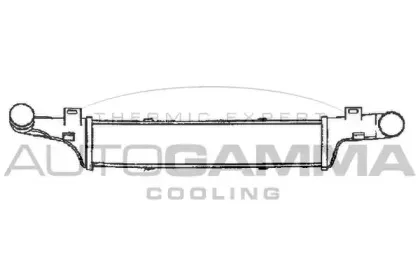autogamma-101506