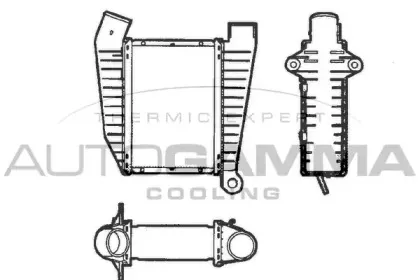 autogamma-101510