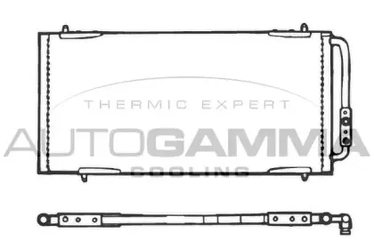 autogamma-101577