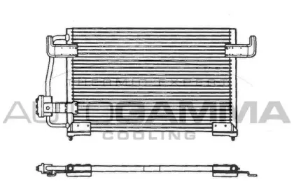 autogamma-101580