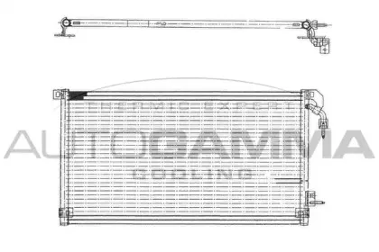 autogamma-101594