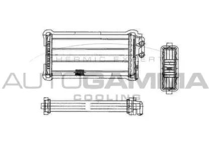 autogamma-101607