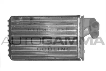 autogamma-101634