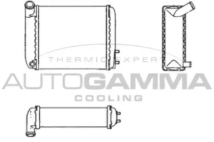 autogamma-101651