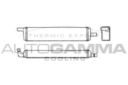 autogamma-101653