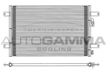 autogamma-101691