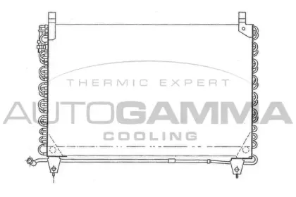 autogamma-101702