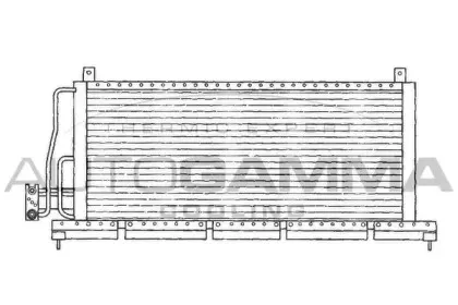 autogamma-101708