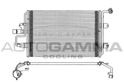 autogamma-101720