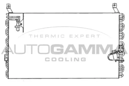 autogamma-101723