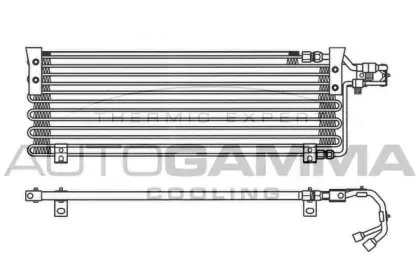 autogamma-101756
