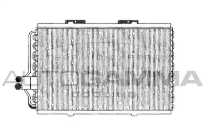 autogamma-101757