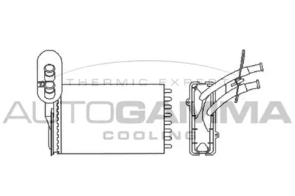 autogamma-101776