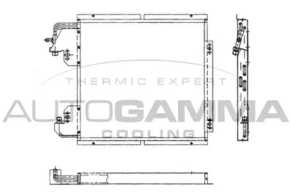autogamma-101800
