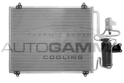 autogamma-101813