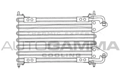 autogamma-101838