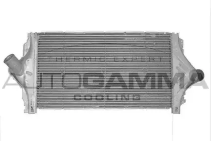 autogamma-101844