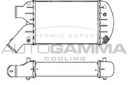 autogamma-101854