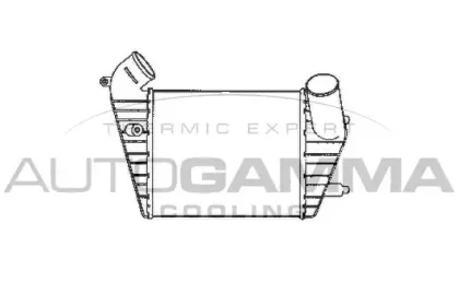 autogamma-101856