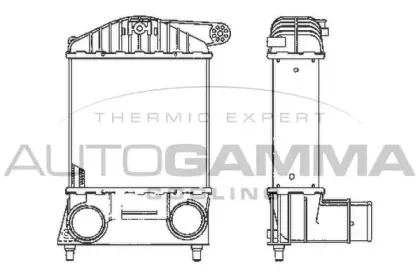 autogamma-101896