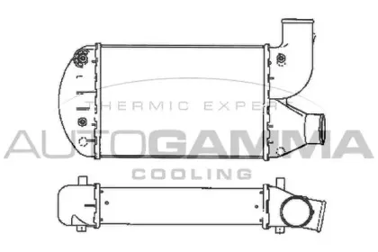 autogamma-101912
