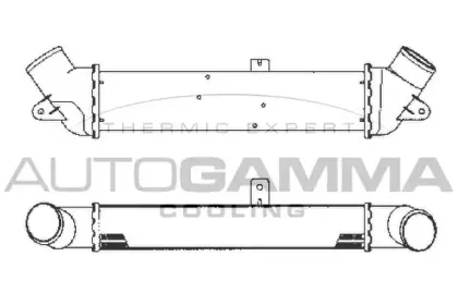 autogamma-101952