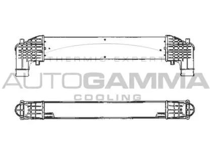 autogamma-101965