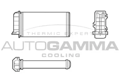 autogamma-101970