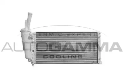 autogamma-101990