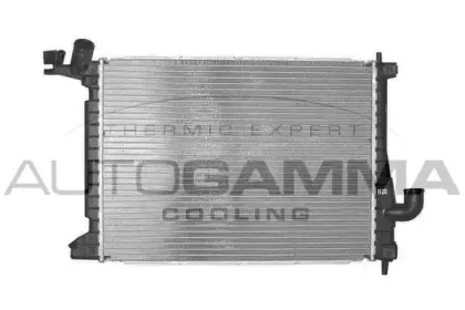 autogamma-102007