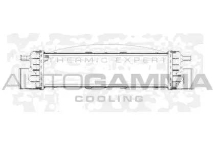 autogamma-102016